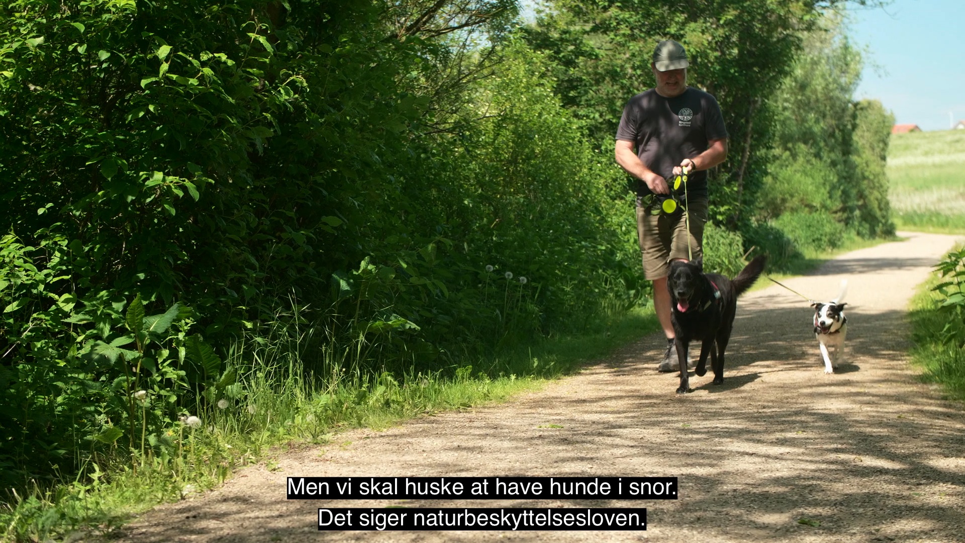 Hunde i naturen – film for Ringsted Kommune